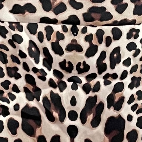 NWT Leopard Print Dress with Peplum. ALYX Limited. Size 12. - Picture 4 of 5